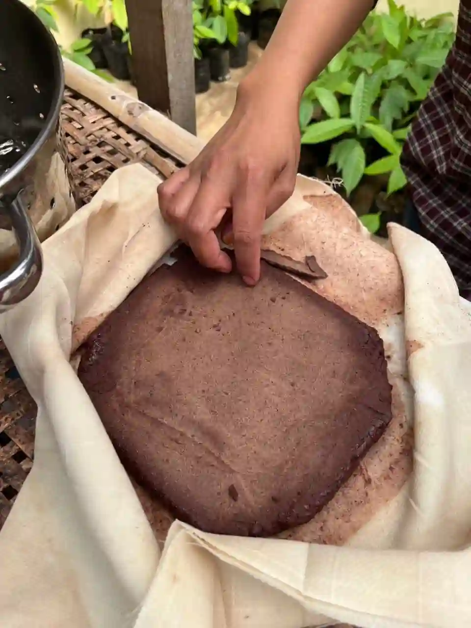 Pressed Cocoa Powder