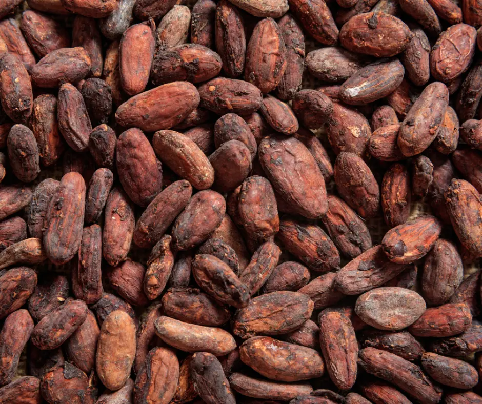 [SUCB] - Unfermented Cocoa Beans