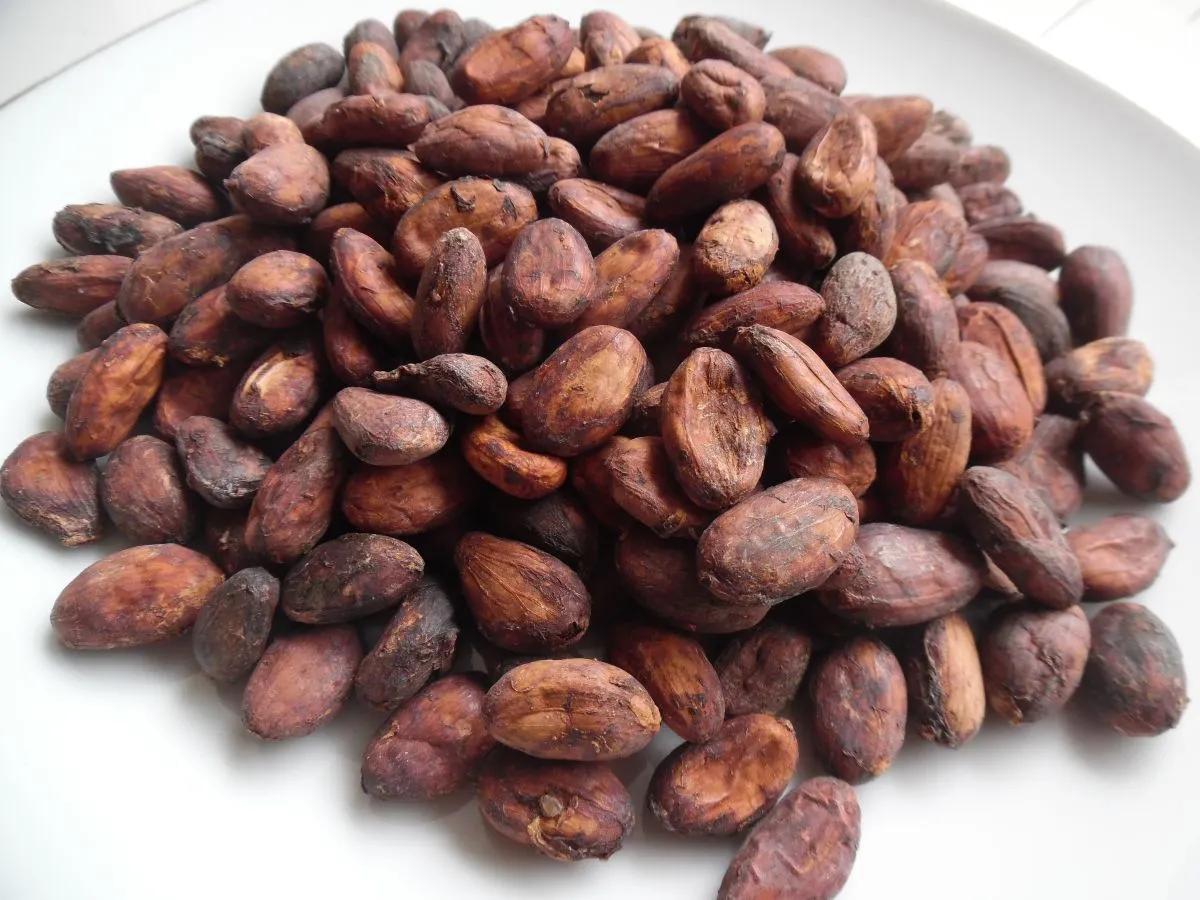 [AFCB] - Fermented Cocoa Beans